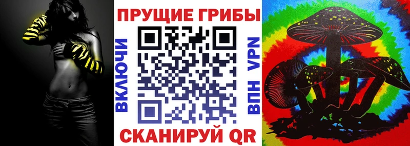 цена наркотик  Гвардейск  Галлюциногенные грибы мицелий 