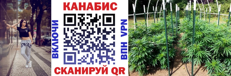 darknet наркотические препараты Гвардейск МАРИХУАНА план